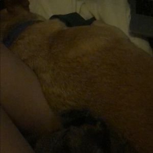 Meet your Posher, Grace